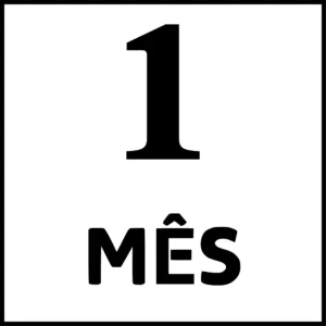 1 MÊS