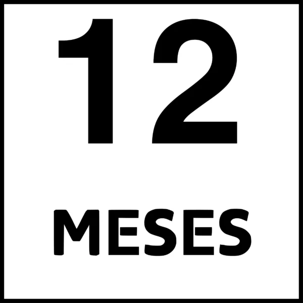 12 MESES